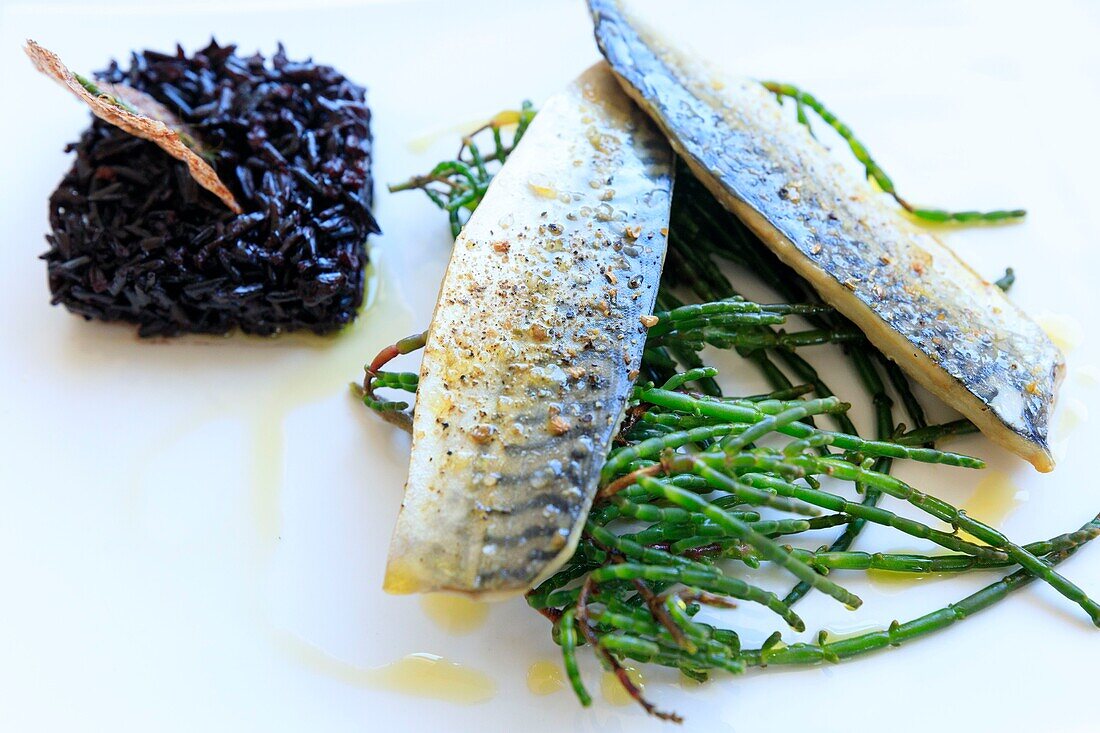 France, Bouches du Rhone, Camargue Regional Nature Park, Saintes Maries de La Mer, Mas du Col Vert, Chef Roger Merlin, Salicorne mackerel and Camargue black rice