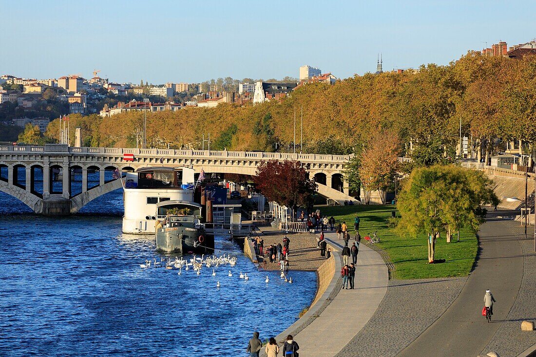 France, Rhône, Lyon, 3rd district, La Guillotière area, Victor Augagneur quay, UNESCO World Heritage Site, Wilson Bridge in the background