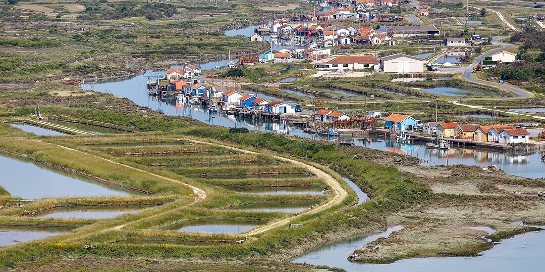 France, Charente Maritime, Le Chateau d'Oleron, oyster farms on Ors channel (aerial view)