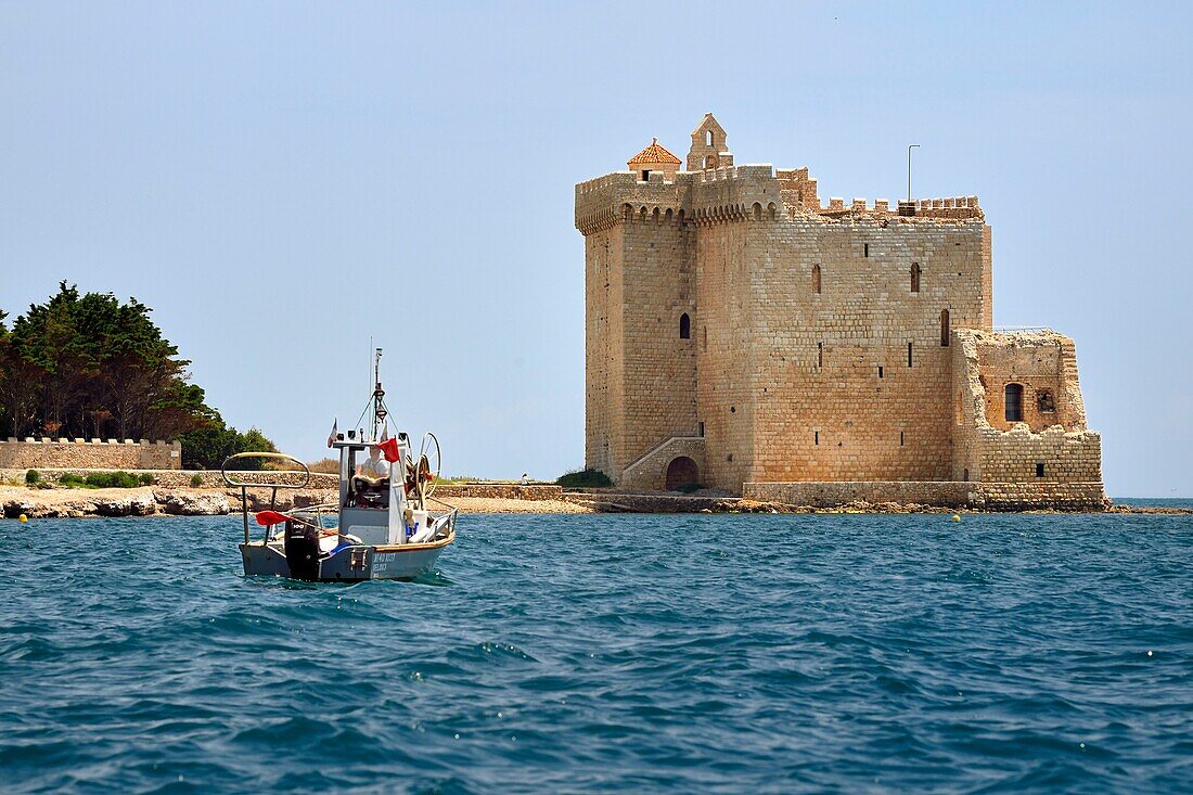 France, Alpes Maritimes, Lerins Islands, Saint Honorat island, Abbey of Lerins, former fortified monastery raised in 1073