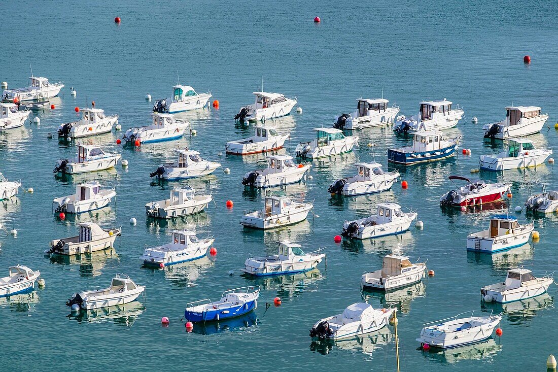 France, Cotes d'Armor, Erquy, the harbour