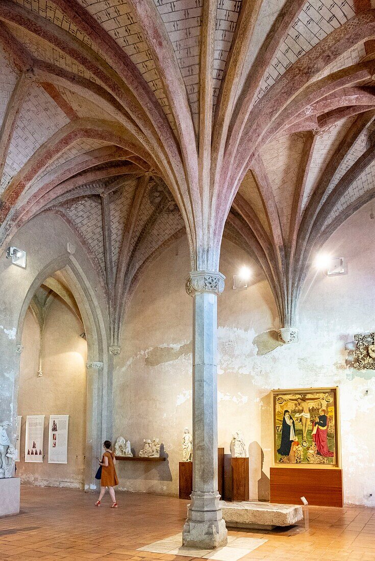 France, Haute Garonne, Toulouse, Musee des Augustins created in 1793 in the former Augustinian convent of Toulouse