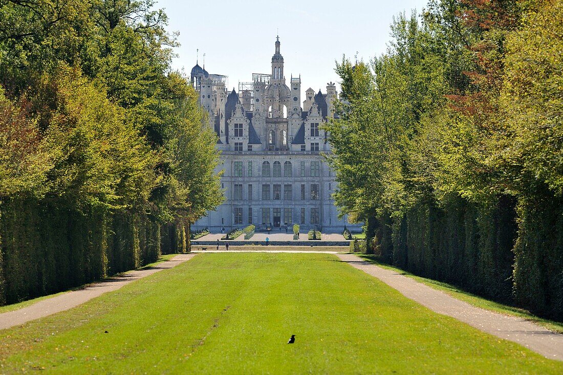 France, Loir et Cher, Valley of the Loire listed as World Heritage by UNESCO, Chambord, the Royal Castle seen from the gardens