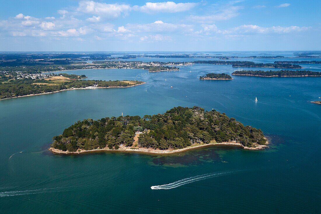France, Morbihan, Gulf of Morbihan, Regional Natural Park of the Gulf of Morbihan, Baden, Island of er Runio (and Larmor Baden in the background aerial view)