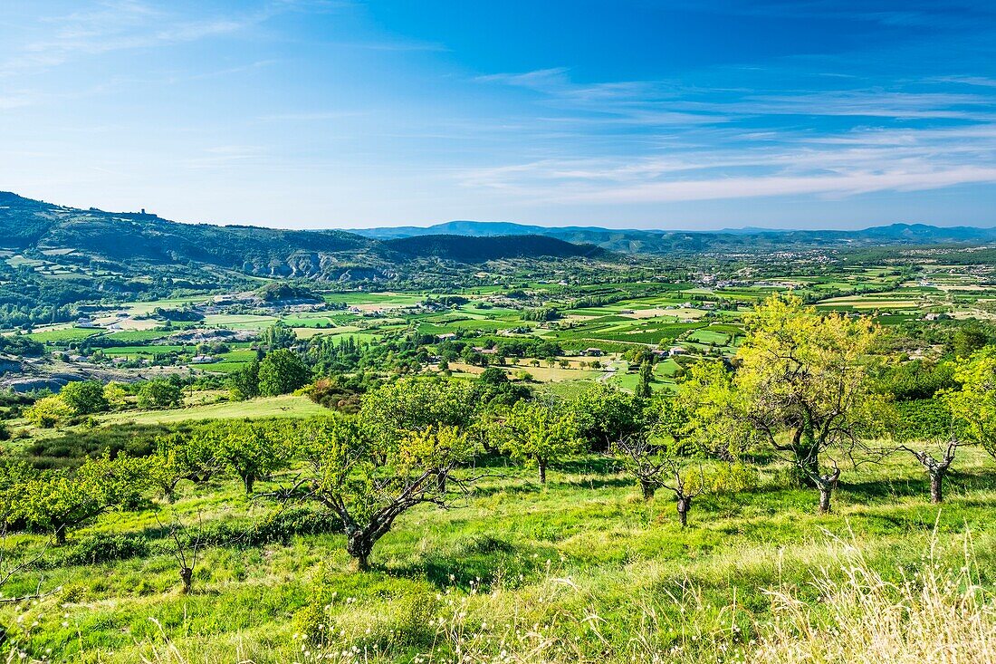 France, Ardeche, Lussas, Ardeche vineyard