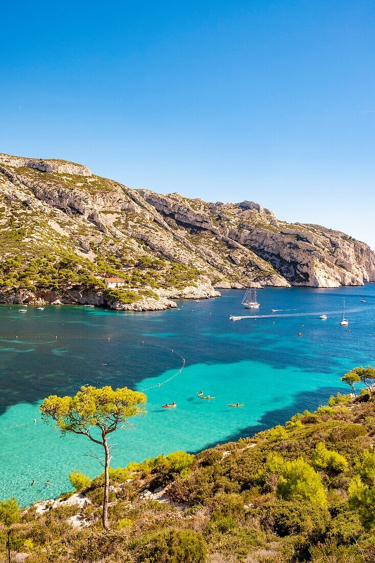 France, Bouches du Rhone, Marseille, Calanque of Sormiou, Calanques National Park