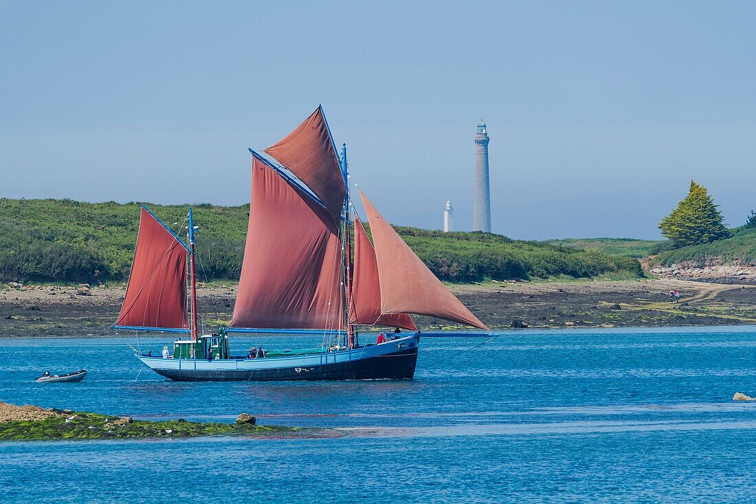 France, Finistère (29), Pays des Abers, Côte des Legendes, l'Aber Wrac'h, Notre Dame de Rumengol is a gabare (freight) rigged in Dundee built in 1945 in Camaret, Ile Vierge lighthouse in the background