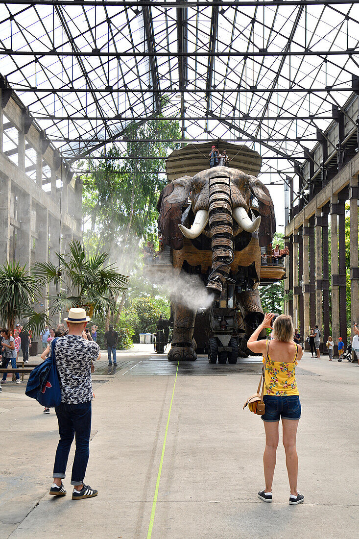 France, Loire Atlantique, Nantes, Ile de Nantes, Les Machines de l'Ile (the Machines of the Island) in warehouses of the former shipyards, artistic project conceived by Francois Delaroziere and Pierre Orefice, the elephant, automaton