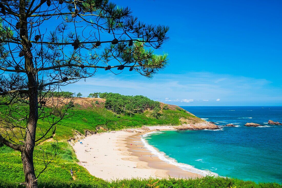 France, Cotes d'Armor, Erquy, Portuais beach in the heart of Erquy Cape