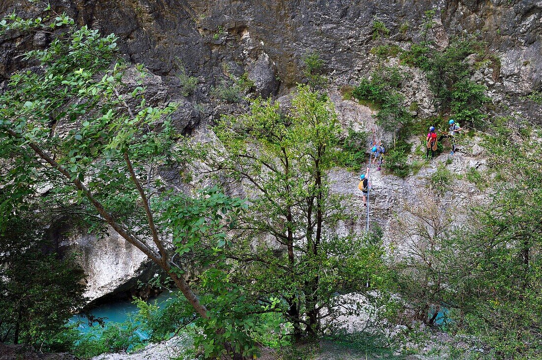 France, Alpes de Haute Provence, Parc Naturel Regional du Verdon, Rougon, Grand Canyon of Verdon, climbers on a wall of the cliffs of the corridor Samson, seen from the trail sentier Blanc Martel on the GR4