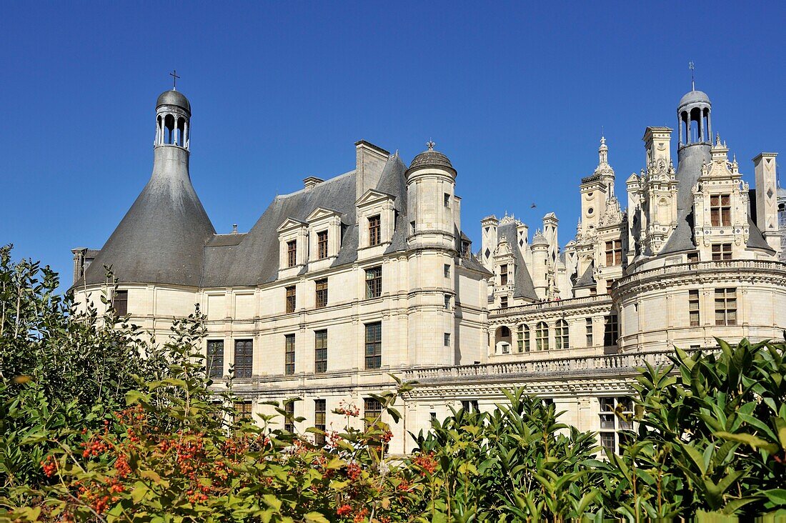Frankreich, Loir et Cher, Tal der Loire, von der UNESCO zum Weltkulturerbe erklärt, Chambord, das königliche Schloss, Schloss inmitten von Grün