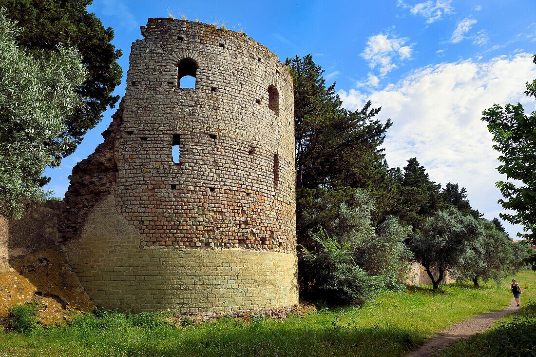 France, Var, Frejus, Forum Julii, Roman tower in the northern ramparts of the Roman city in the Clos de la Tour garden