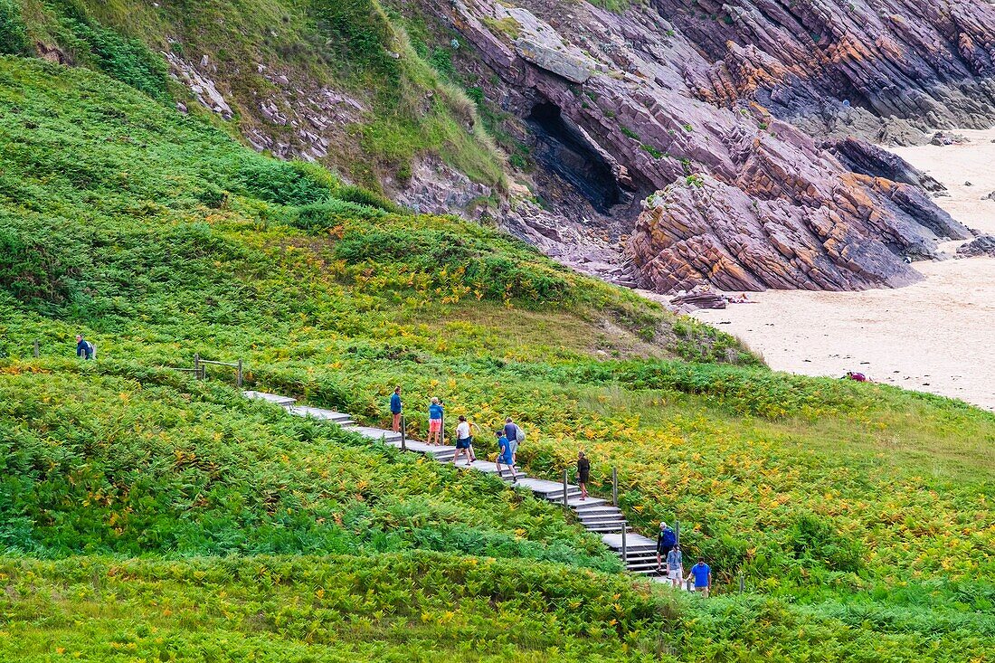 Frankreich, Cotes d'Armor, Erquy, Wanderweg GR 34 zwischen dem Strand von Lourtuais und dem Kap Erquy