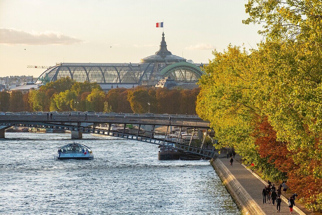 France, Paris, the banks of the Seine listed as World Heritage by UNESCO, a fly boat and the Grand Palais at the bottom