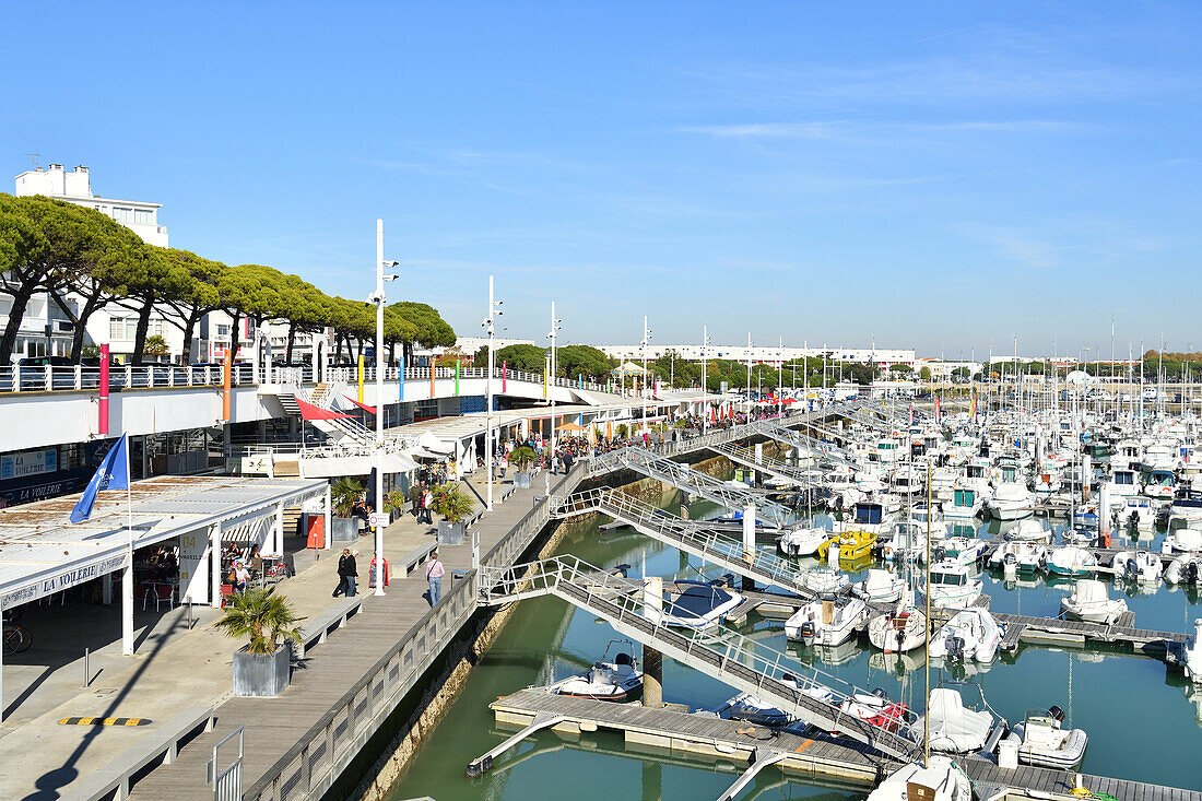 France, Charente Maritime, Royan, the harbour