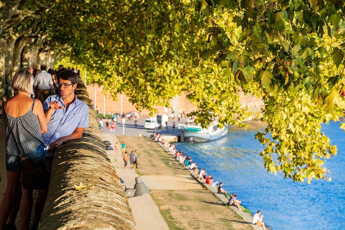 France, Haute Garonne, Toulouse, the banks of the Garonne