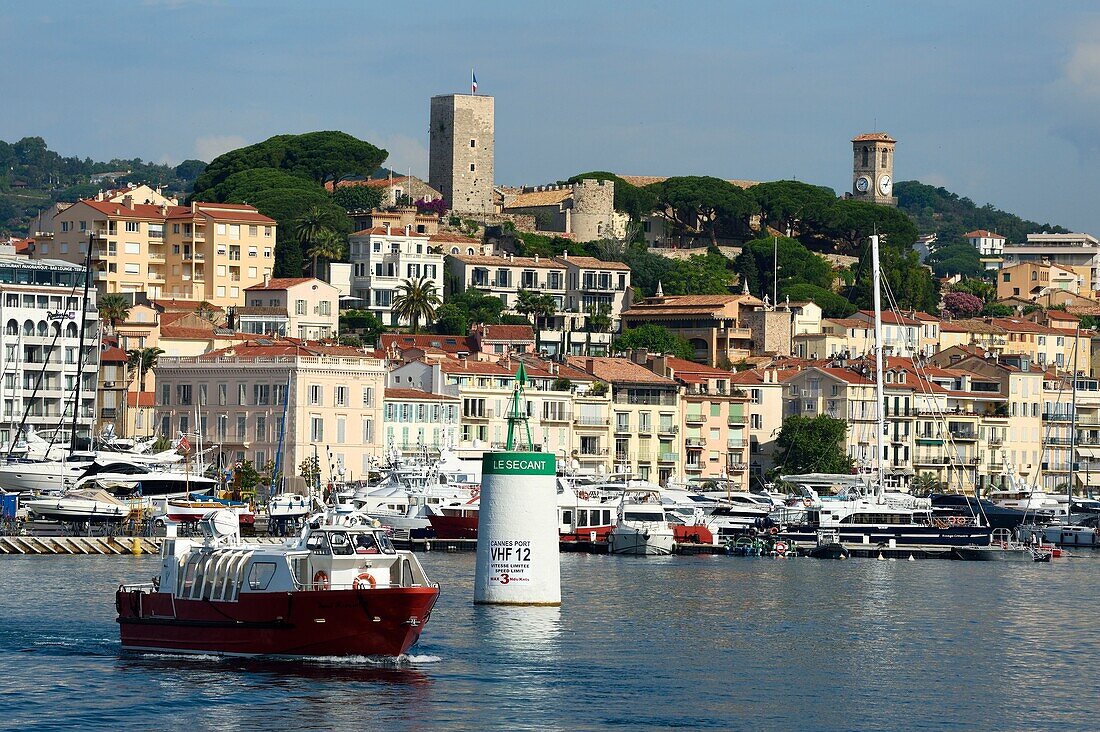 France, Alpes Maritimes, Cannes, the harbour and the old town in Le Suquet district, at its peak the Tour du Suquet and the steeple of the Notre Dame de l'Esperance church