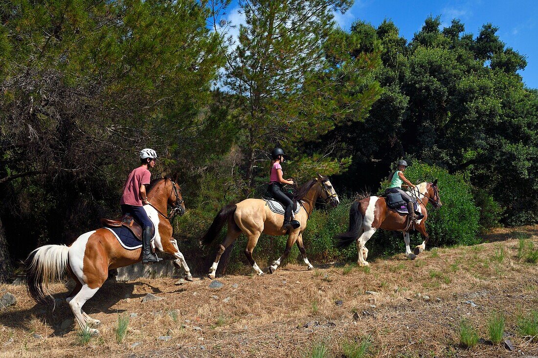 Frankreich, Var, Agay in der Nähe von Saint Raphael, Reitertrekking im Esterel-Massiv