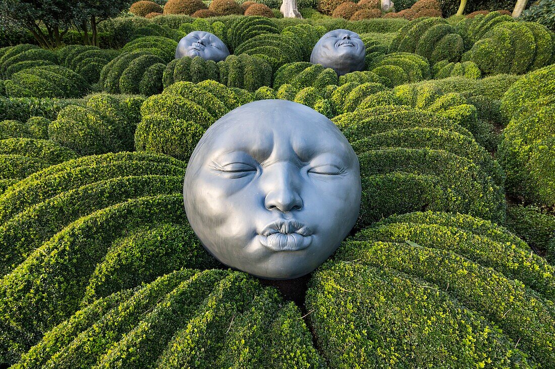 France, Seine Maritime, Etretat, Etretat garden, Drops of Rain, Samuel Salcedo