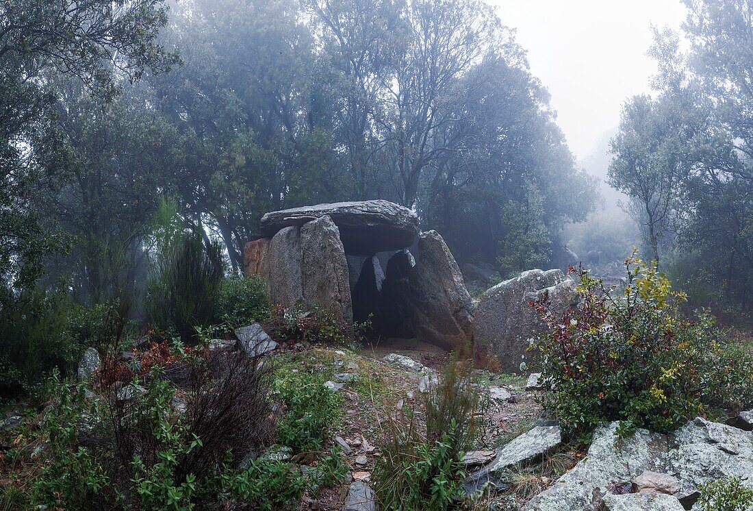 Frankreich, Pyrenees Orientales, Les Alberes-Gebirge, St. Jean Albere, Blick auf den Dolmen in einer Lichtung im Morgennebel