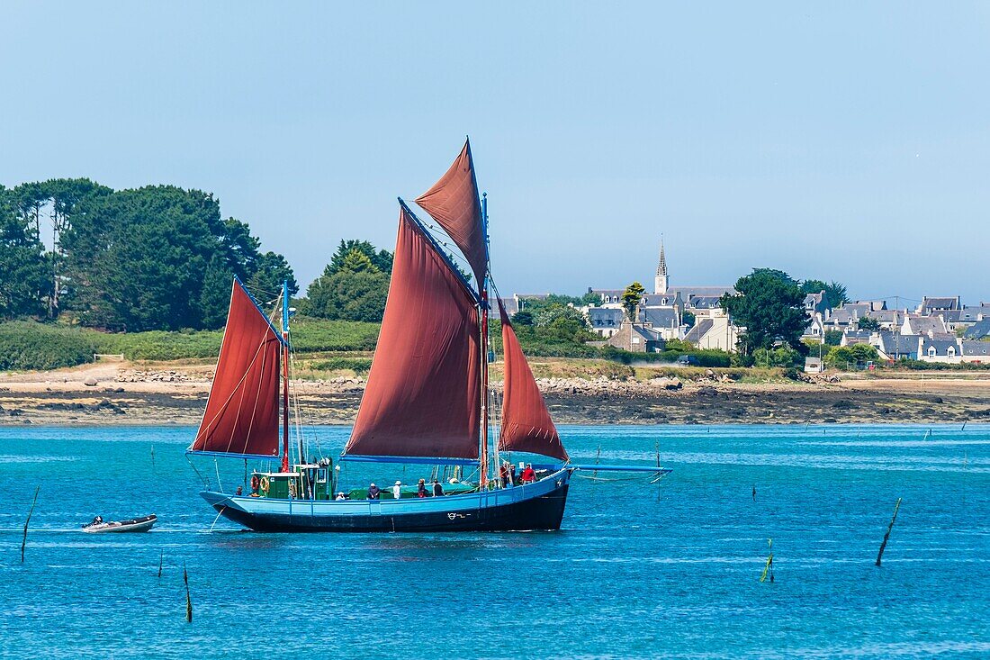 France, Finistère (29), Pays des Abers, Côte des Legendes, l'Aber Wrac'h, Notre Dame de Rumengol is a gabare (freight) rigged in Dundee built in 1945 in Camaret, Plouguerneau in the background