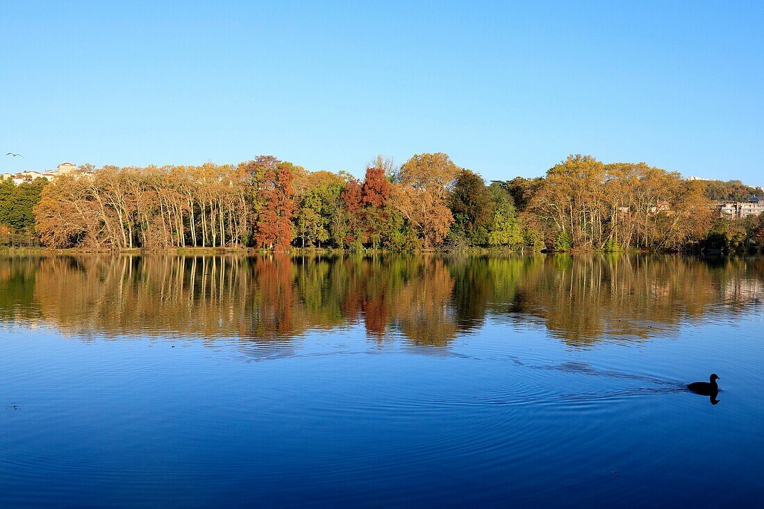 Frankreich, Rhône, Lyon, 6. Arrondissement, Stadtteil La Tête d'Or, See des Parks von La Tête d'Or