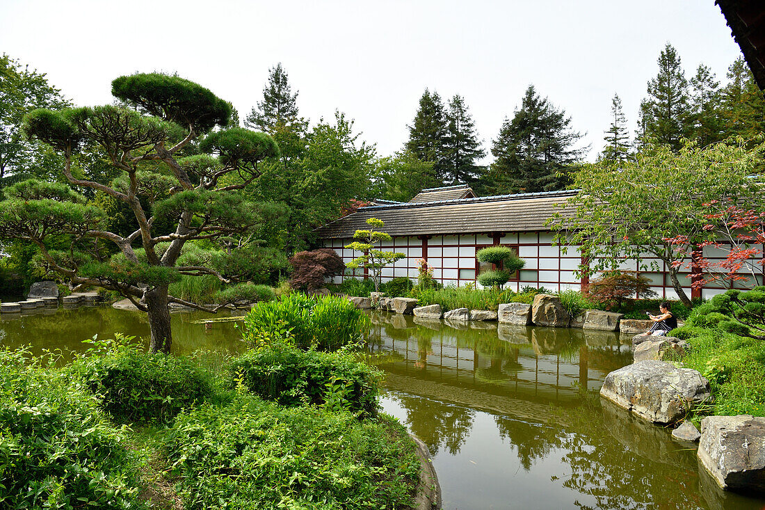 France, Loire Atlantique, Nantes, Ile de Nantes, the Japanese garden on the Island of Versailles