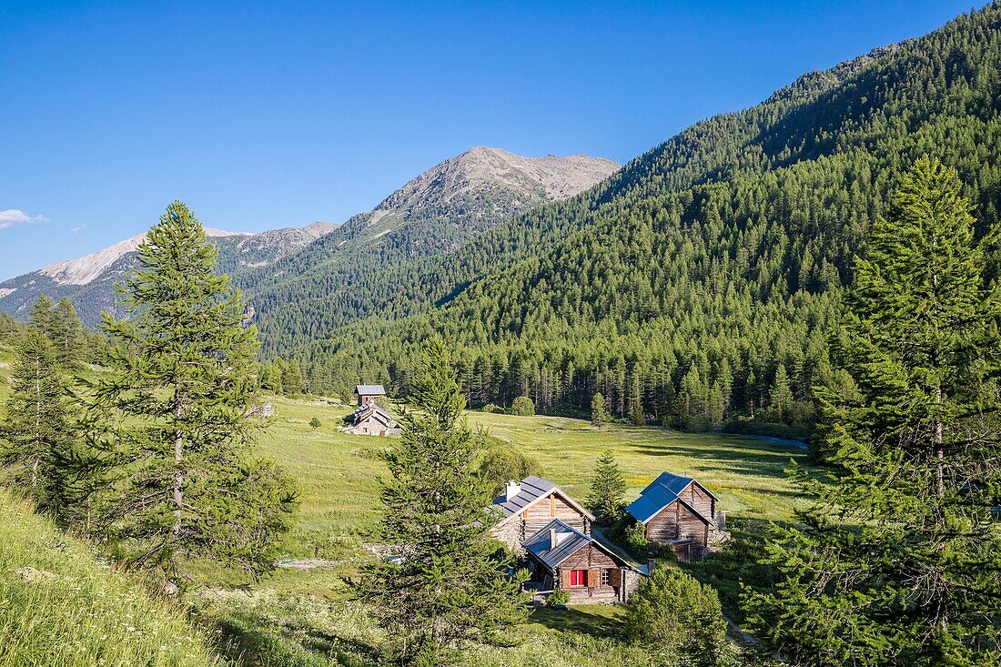 France, Hautes Alpes, Nevache, La Claree valley, chalets of Lacha