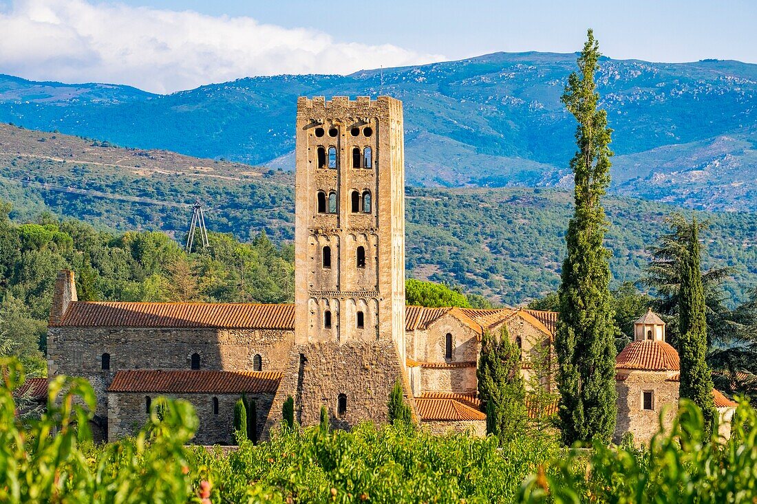 France, Pyrenees Orientales, Codalet, Abbey of Saint Michel de Cuxa, Regional Natural Park of the Catalan Pyrenees