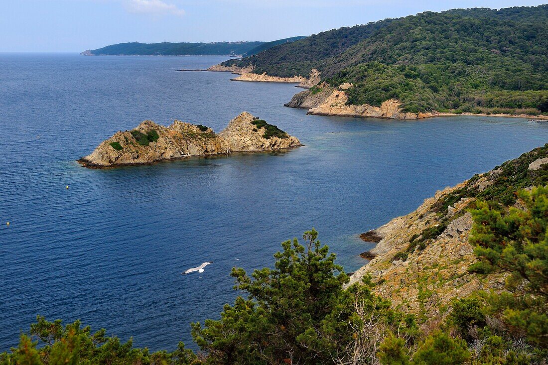 Frankreich, Var, Iles d'Hyeres, Parc national de Port Cros (Nationalpark von Port Cros), Insel Port Cros, Strand La Palud, Felsen Rascas