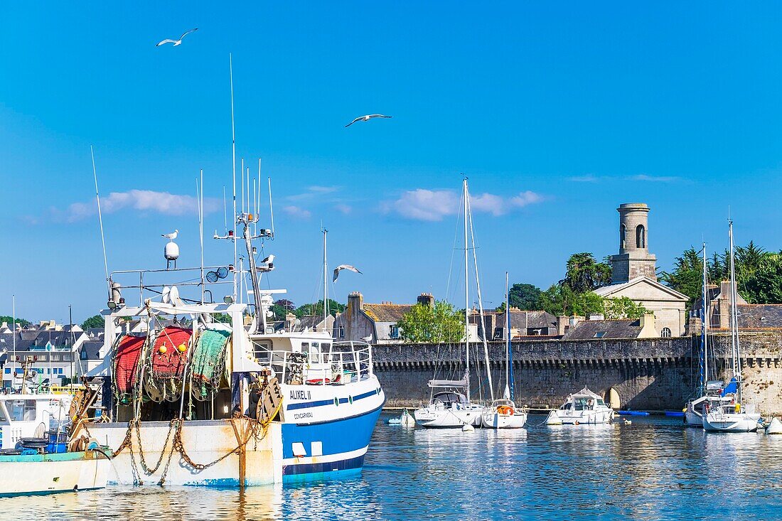 France, Finistere, Concarneau, the fishing harbour