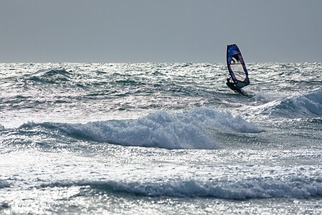 France, Bouches du Rhone, Blue Coast, Martigues, neighborhood of Carro, Pointe de Carro, windsurfer