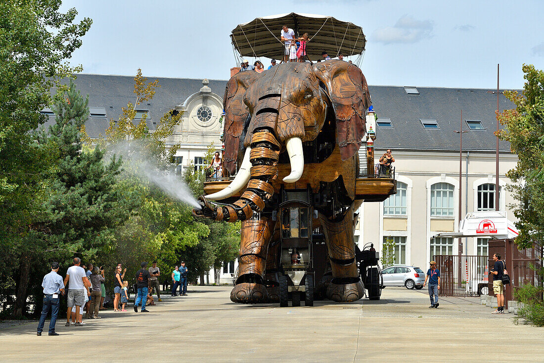 France, Loire Atlantique, Nantes, Ile de Nantes, Les Machines de l'Ile (the Machines of the Island) in warehouses of the former shipyards, artistic project conceived by Francois Delaroziere and Pierre Orefice, the elephant, automaton