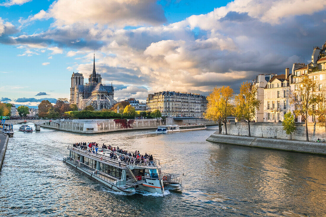 France, Paris, the banks of the Seine river listed as World Heritage by UNESCO, quai d'Orléans on Ile Saint-Louis and Notre-Dame cathedral on the Ile de la Cité