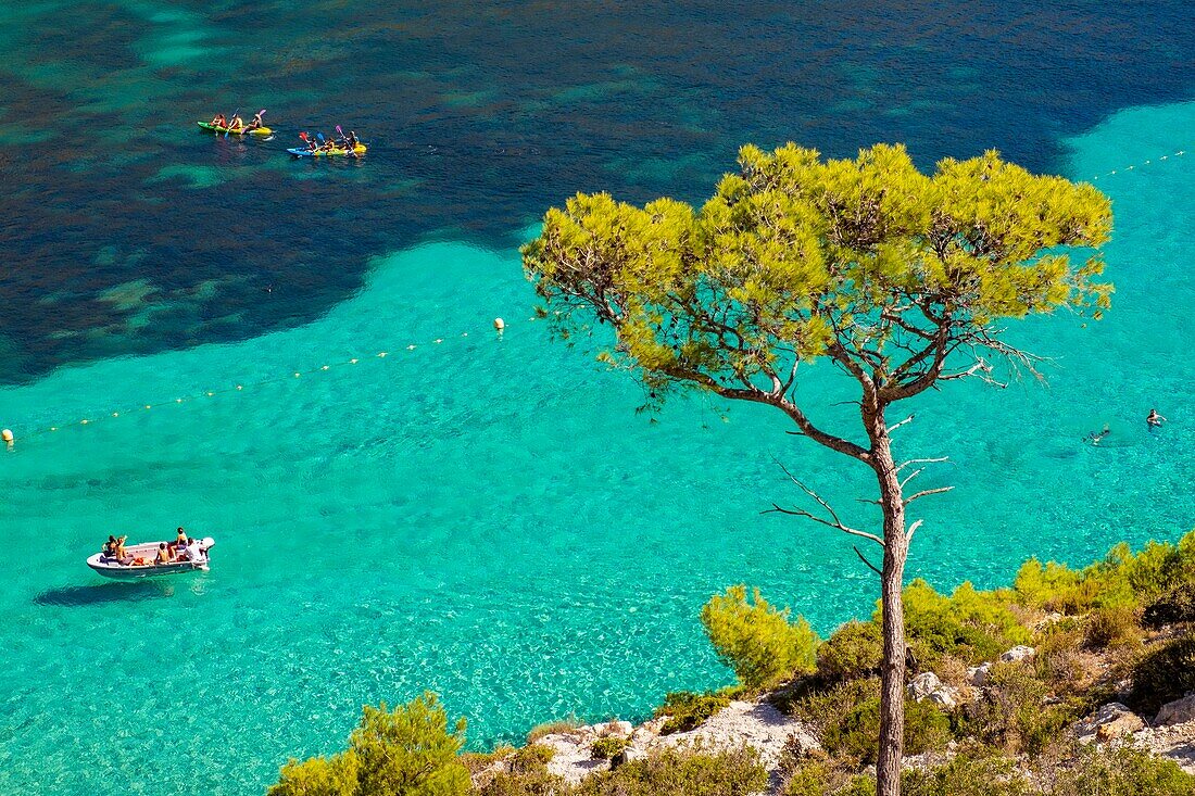 France, Bouches du Rhone, Marseille, Calanque of Sormiou, Calanques National Park