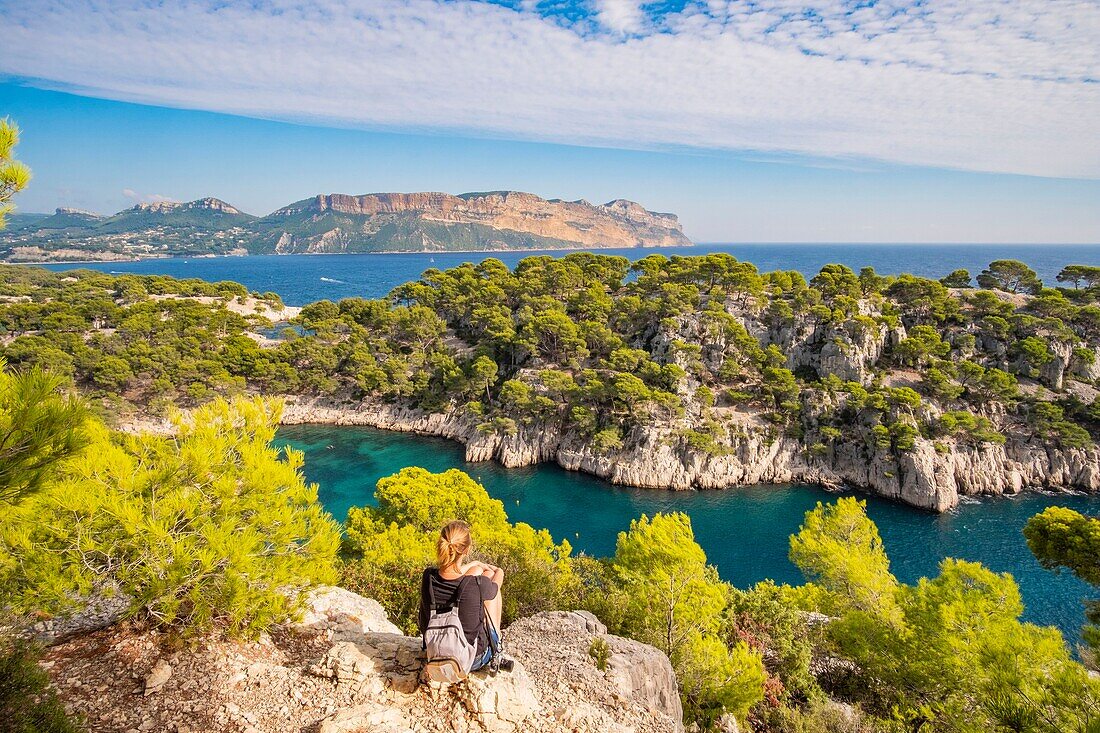 France, Bouches du Rhone, Cassis, the cove of Port Pin and Cap Canaille in the background, National Park of Calanques