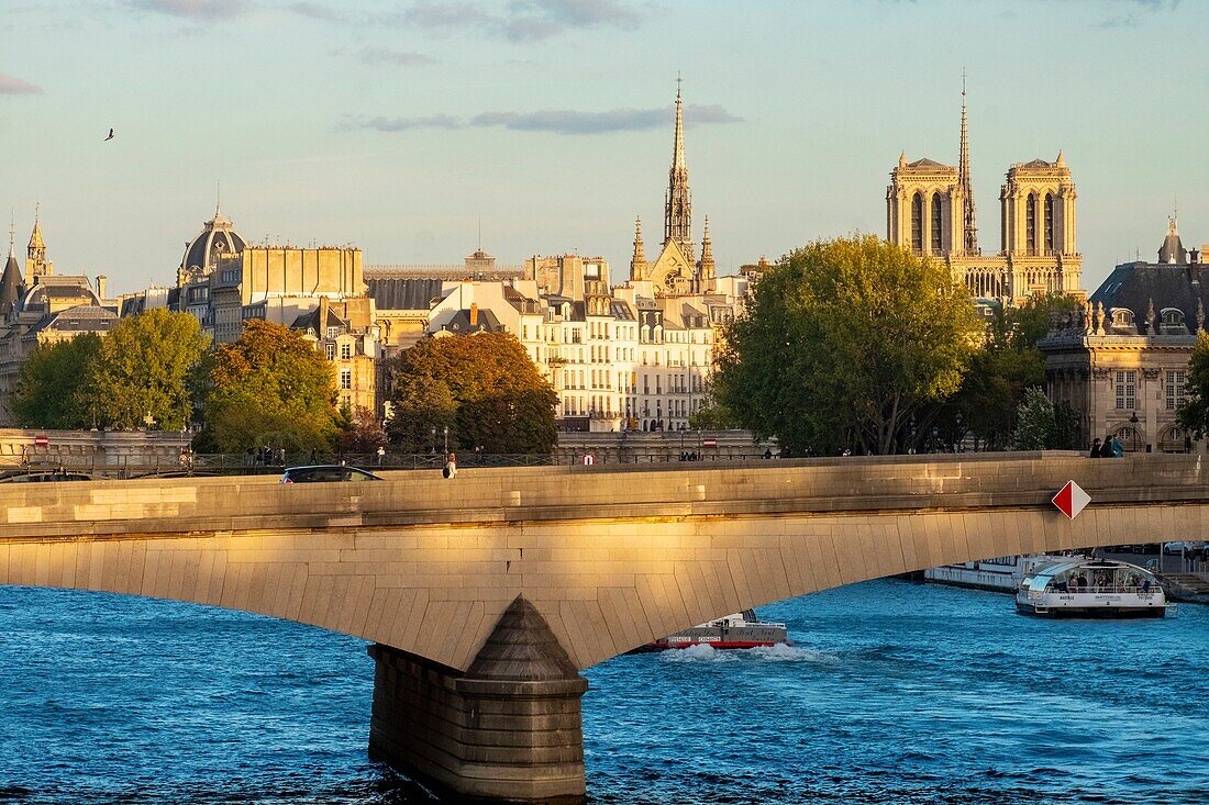 Frankreich, Paris, die Ufer der Seine, die von der UNESCO zum Weltkulturerbe erklärt wurden, die Carrousel-Brücke und die Kathedrale Notre Dame de Paris