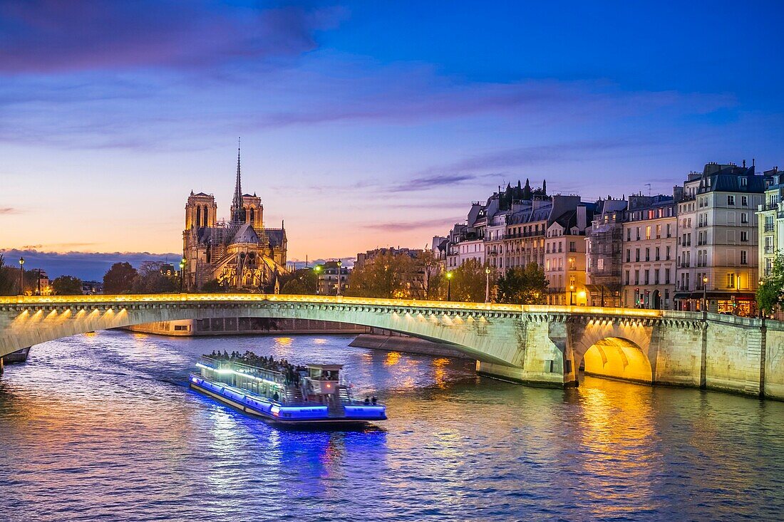 Frankreich, Paris, die Seine-Ufer, die von der UNESCO zum Weltkulturerbe erklärt wurden, die Kathedrale Notre-Dame auf der Ile de la Cité und die Tournelle-Brücke