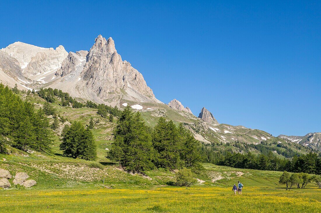 Frankreich, Hautes Alpes, Nevache, La Claree Tal, im Hintergrund das Massiv von Cerces (3093m) und die Gipfel des Main de Crepin (2942m)