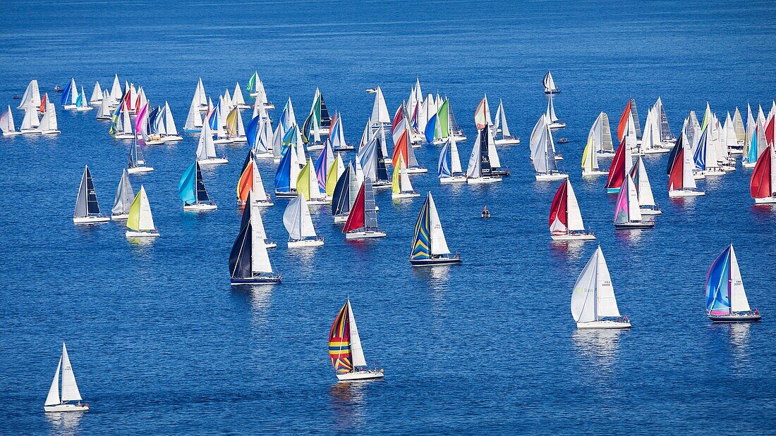 France, Morbihan, La Trinité sur Mer, start of the Tour de Belle Ile regatta (aerial view)