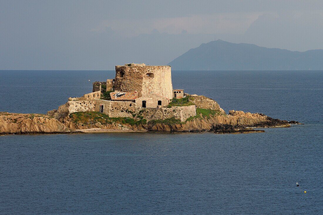 France, Var, Iles d'Hyeres, Parc National de Port Cros (National park of Port Cros), Porquerolles island, Petit Langoustier Fort