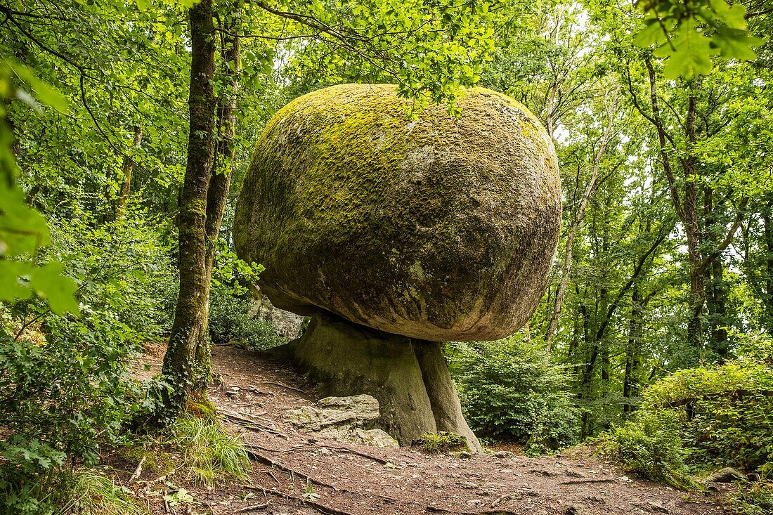 Frankreich, Finistere, Huelgoat, Regionales Naturreservat von Armorique, granitisches Chaos des Waldes von Huelgoat