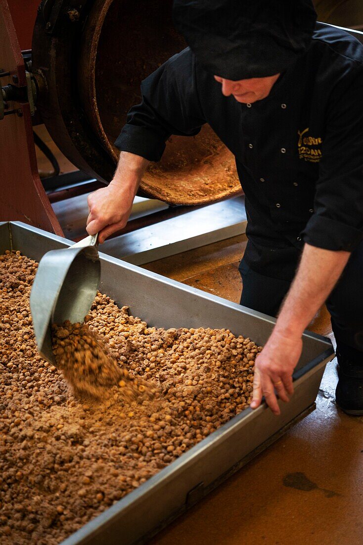 France, Rhone, Lyon, chocolate factory Voisin, praline production