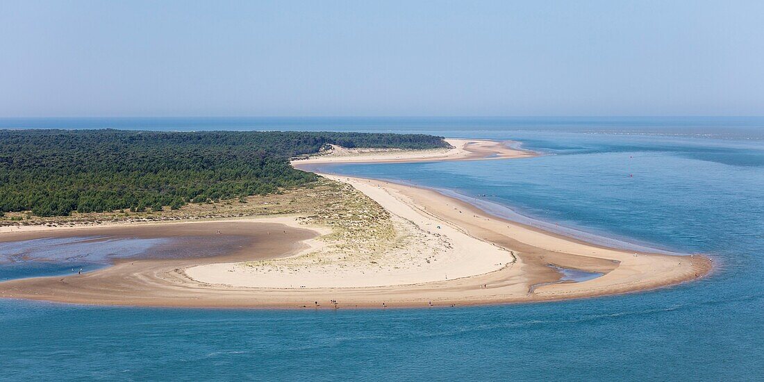 Frankreich, Charente Maritime, La Tremblade, die Pointe du Galon d'Or (Luftaufnahme)