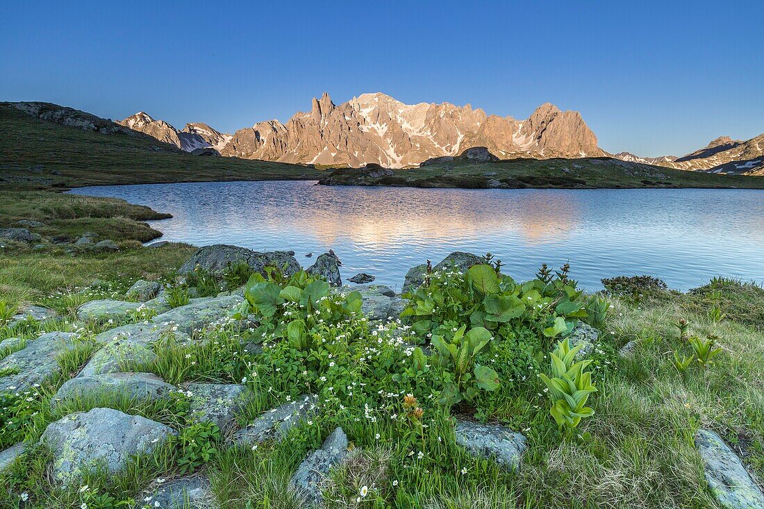 France, Hautes Alpes, Nevache, La Clarée valley, reflection of the Cerces massif (3093 m) on an unnamed lake between Lakes Long and Round, in the center the peaks of the Main de Crépin (2942 m)