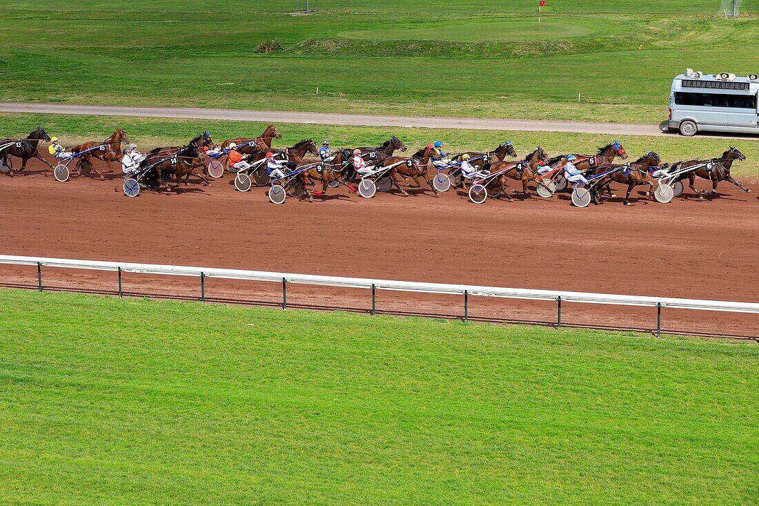 France, Bouches du Rhone, Marseille, 8th arrondissement, Bonneveine district, Borély racetrack, trotting race