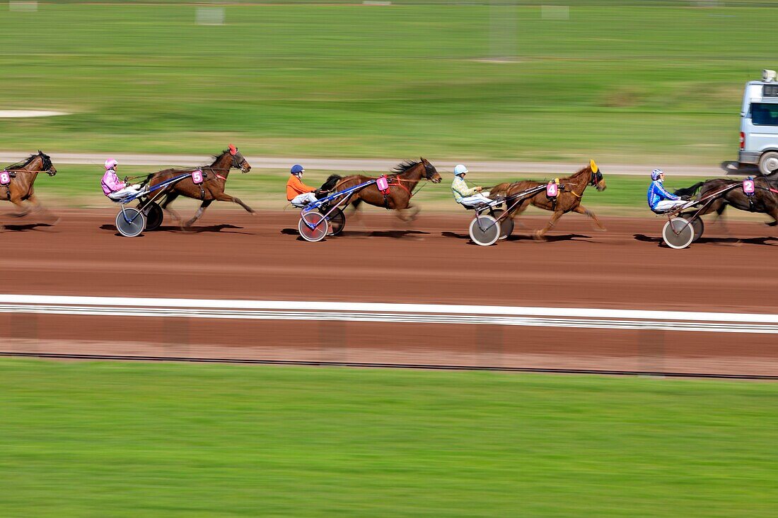 France, Bouches du Rhone, Marseille, 8th arrondissement, Bonneveine district, Borély racetrack, trotting race