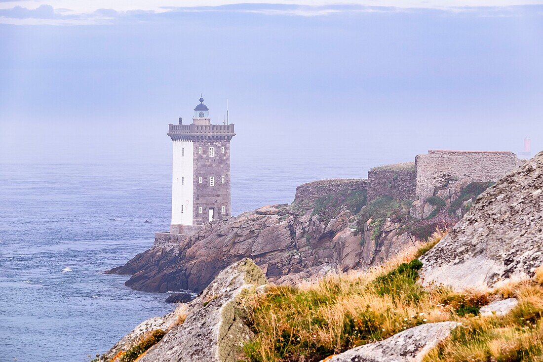 France, Finistere, Le Conquet, Kermorvan peninsula, dolphins at the foot of Kermorvan lighthouse built in 1849