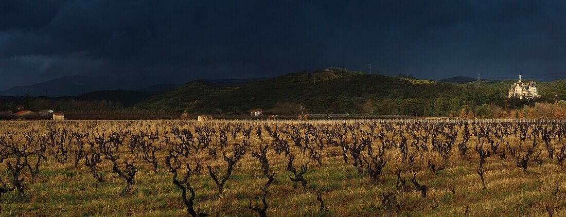 Frankreich, Pyrenees Orientales, Vallespir, Ceret, Weingut des Schlosses von Aubiry, Blick auf den Weinberg im Winter unter einem stürmischen Himmel