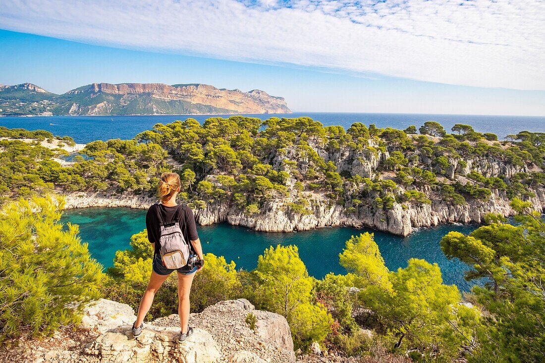 France, Bouches du Rhone, Cassis, the cove of Port Pin and Cap Canaille in the background, National Park of Calanques